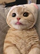 挑选带有吉祥数字的号码,“吉祥号”,也就是有一组有特有的吉祥信息在里面的字符。选择吉祥号码也要遵循一定的规律,第一,确定尾数,第二,易记顺口,第三,谐音吉祥。